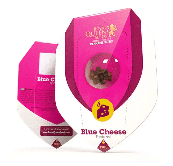 Blue Cheese Royal Queen Cannabis Seeds Skunk Seeds (3) Blue Cheese Royal Queen Cannabis Seeds Skunk Seeds