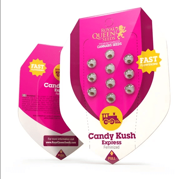 Candy Kush Express (rask blomstrende) Royal Queen Cannabis Seeds Skunk Seeds (2) Candy Kush Express (rask blomstrende) Royal Queen Cannabis Seeds Skunk Seeds