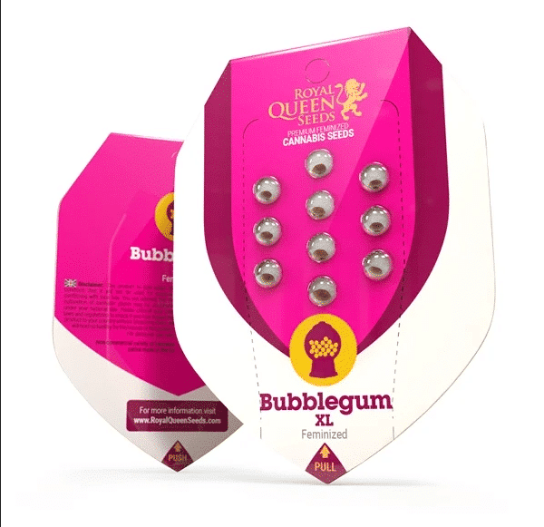 Bubblegum XL Royal Queen Cannabisfrø Skunk (2) Bubblegum XL Royal Queen Cannabisfrø Skunk