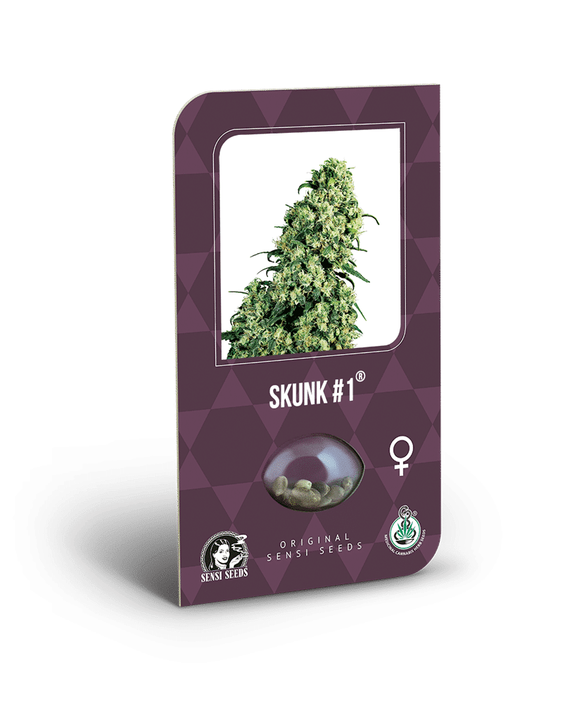 Cannabisfrø Sensi Seeds Skunk #1 3 Cannabisfrø Sensi Seeds Skunk #1