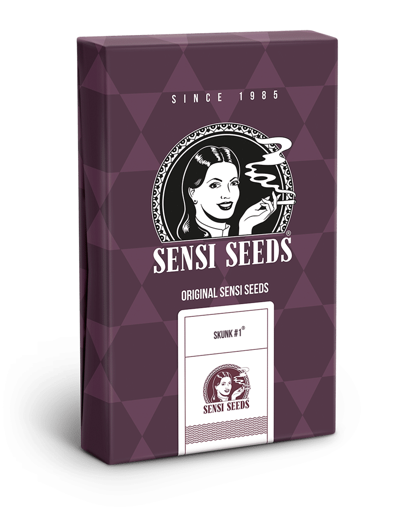 Cannabisfrø Sensi Seeds Skunk #1 Cannabisfrø Sensi Seeds Skunk #1